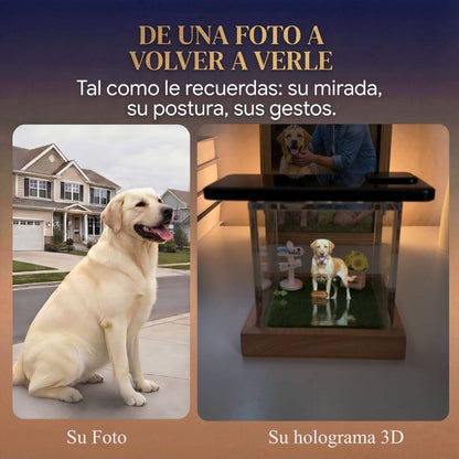 SOULPAW™ - Recuerdo Holográfico Personalizado