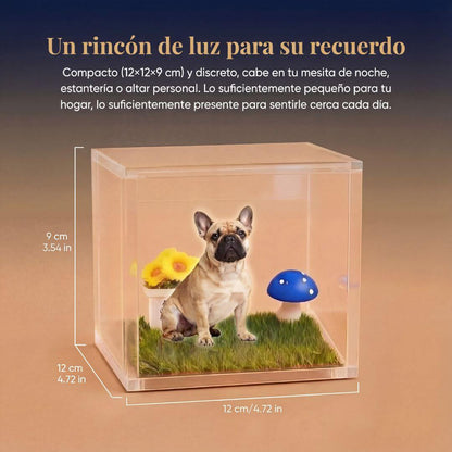 SOULPAW™ - Recuerdo Holográfico Personalizado